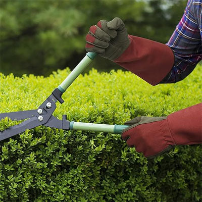 Gants de jardinage | Protection Coude
